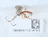  ( - NHMUK015054489)  @11 [ ] Unspecified (default): All Rights Reserved  Unspecified Unspecified