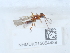  ( - NHMUK015054489)  @11 [ ] Unspecified (default): All Rights Reserved  Unspecified Unspecified