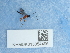  ( - NHMUK015054496)  @11 [ ] Unspecified (default): All Rights Reserved  Unspecified Unspecified