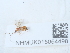  ( - NHMUK015054498)  @11 [ ] Unspecified (default): All Rights Reserved  Unspecified Unspecified