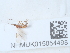  ( - NHMUK015054498)  @11 [ ] Unspecified (default): All Rights Reserved  Unspecified Unspecified