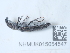  ( - NHMUK015054547)  @11 [ ] Unspecified (default): All Rights Reserved  Unspecified Unspecified