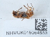  ( - NHMUK015054553)  @11 [ ] Unspecified (default): All Rights Reserved  Unspecified Unspecified