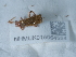  ( - NHMUK015054554)  @11 [ ] Unspecified (default): All Rights Reserved  Unspecified Unspecified