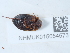  ( - NHMUK015054573)  @11 [ ] Unspecified (default): All Rights Reserved  Unspecified Unspecified