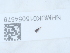  (Bryaxis bulbifer - NHMUK015054578)  @11 [ ] Unspecified (default): All Rights Reserved  Unspecified Unspecified