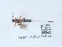  ( - NHMUK015054582)  @11 [ ] Unspecified (default): All Rights Reserved  Unspecified Unspecified