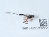  ( - NHMUK015054582)  @11 [ ] Unspecified (default): All Rights Reserved  Unspecified Unspecified
