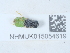  ( - NHMUK015054619)  @11 [ ] Unspecified (default): All Rights Reserved  Unspecified Unspecified