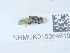  ( - NHMUK015054619)  @11 [ ] Unspecified (default): All Rights Reserved  Unspecified Unspecified