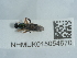  ( - NHMUK015054670)  @11 [ ] Unspecified (default): All Rights Reserved  Unspecified Unspecified