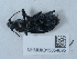  ( - NHMUK015054695)  @11 [ ] Unspecified (default): All Rights Reserved  Unspecified Unspecified