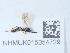  ( - NHMUK015054729)  @11 [ ] Unspecified (default): All Rights Reserved  Unspecified Unspecified