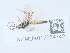  ( - NHMUK015054742)  @11 [ ] Unspecified (default): All Rights Reserved  Unspecified Unspecified