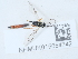  ( - NHMUK015054742)  @11 [ ] Unspecified (default): All Rights Reserved  Unspecified Unspecified