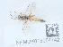 ( - NHMUK015054742)  @11 [ ] Unspecified (default): All Rights Reserved  Unspecified Unspecified