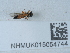  ( - NHMUK015054744)  @11 [ ] Unspecified (default): All Rights Reserved  Unspecified Unspecified