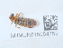  ( - NHMUK015054752)  @11 [ ] Unspecified (default): All Rights Reserved  Unspecified Unspecified