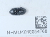  ( - NHMUK015054768)  @11 [ ] Unspecified (default): All Rights Reserved  Unspecified Unspecified