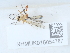  ( - NHMUK015054787)  @11 [ ] Unspecified (default): All Rights Reserved  Unspecified Unspecified