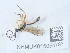  ( - NHMUK015054787)  @11 [ ] Unspecified (default): All Rights Reserved  Unspecified Unspecified
