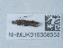  ( - NHMUK015058553)  @11 [ ] Unspecified (default): All Rights Reserved  Unspecified Unspecified