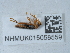  ( - NHMUK015058559)  @11 [ ] Unspecified (default): All Rights Reserved  Unspecified Unspecified