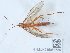  ( - NHMUK015058589)  @11 [ ] Unspecified (default): All Rights Reserved  Unspecified Unspecified
