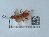  ( - NHMUK015058590)  @11 [ ] Unspecified (default): All Rights Reserved  Unspecified Unspecified