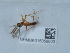  ( - NHMUK015058603)  @11 [ ] Unspecified (default): All Rights Reserved  Unspecified Unspecified