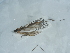  ( - NHMUK015059000)  @11 [ ] Unspecified (default): All Rights Reserved  Unspecified Unspecified