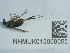  ( - NHMUK015059055)  @11 [ ] Unspecified (default): All Rights Reserved  Unspecified Unspecified