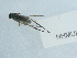  ( - NHMUK015059055)  @11 [ ] Unspecified (default): All Rights Reserved  Unspecified Unspecified