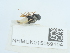  ( - NHMUK015059104)  @11 [ ] Unspecified (default): All Rights Reserved  Unspecified Unspecified
