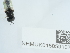  ( - NHMUK015059107)  @11 [ ] Unspecified (default): All Rights Reserved  Unspecified Unspecified