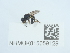  ( - NHMUK015059129)  @11 [ ] Unspecified (default): All Rights Reserved  Unspecified Unspecified