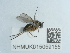  ( - NHMUK015059155)  @11 [ ] Unspecified (default): All Rights Reserved  Unspecified Unspecified