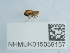 ( - NHMUK015059157)  @11 [ ] Unspecified (default): All Rights Reserved  Unspecified Unspecified