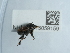  ( - NHMUK015059159)  @11 [ ] Unspecified (default): All Rights Reserved  Unspecified Unspecified