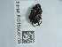  ( - NHMUK015059159)  @11 [ ] Unspecified (default): All Rights Reserved  Unspecified Unspecified