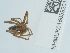  ( - NHMUK015059201)  @11 [ ] Unspecified (default): All Rights Reserved  Unspecified Unspecified