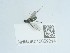  ( - NHMUK015059214)  @11 [ ] Unspecified (default): All Rights Reserved  Unspecified Unspecified