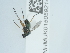 ( - NHMUK015059214)  @11 [ ] Unspecified (default): All Rights Reserved  Unspecified Unspecified