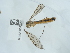  ( - NHMUK015059285)  @11 [ ] Unspecified (default): All Rights Reserved  Unspecified Unspecified
