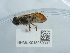  ( - NHMUK015059307)  @11 [ ] Unspecified (default): All Rights Reserved  Unspecified Unspecified