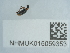  ( - NHMUK015059353)  @11 [ ] Unspecified (default): All Rights Reserved  Unspecified Unspecified