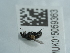  ( - NHMUK015059363)  @11 [ ] Unspecified (default): All Rights Reserved  Unspecified Unspecified