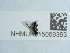  ( - NHMUK015059363)  @11 [ ] Unspecified (default): All Rights Reserved  Unspecified Unspecified
