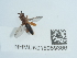  ( - NHMUK015059366)  @11 [ ] Unspecified (default): All Rights Reserved  Unspecified Unspecified