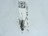  ( - NHMUK015059393)  @11 [ ] Unspecified (default): All Rights Reserved  Unspecified Unspecified